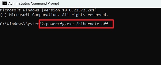 Disable Hibernation