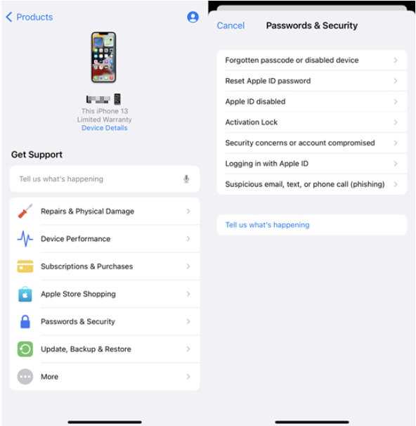appleid.apple.com reset password id