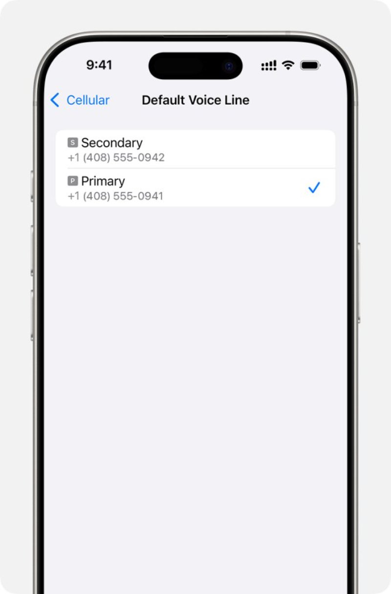 ensure the eSIM is functional