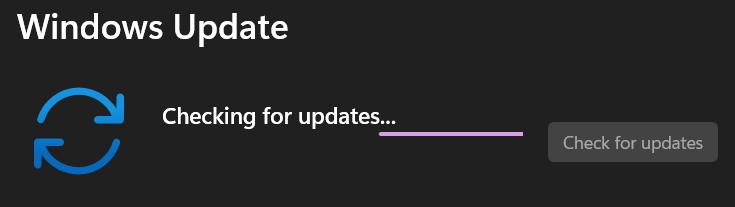Check for Windows Updates