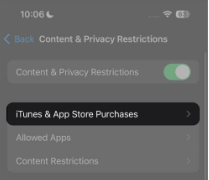 itunes and app store purchase

