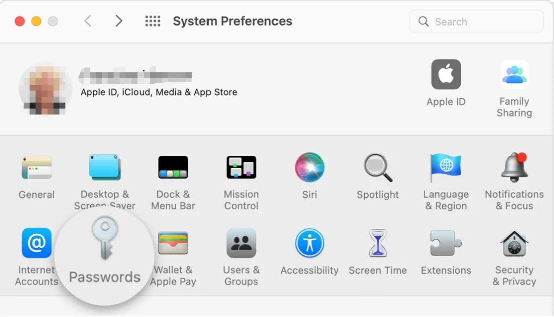 how to see your apple id password without changing it on mac