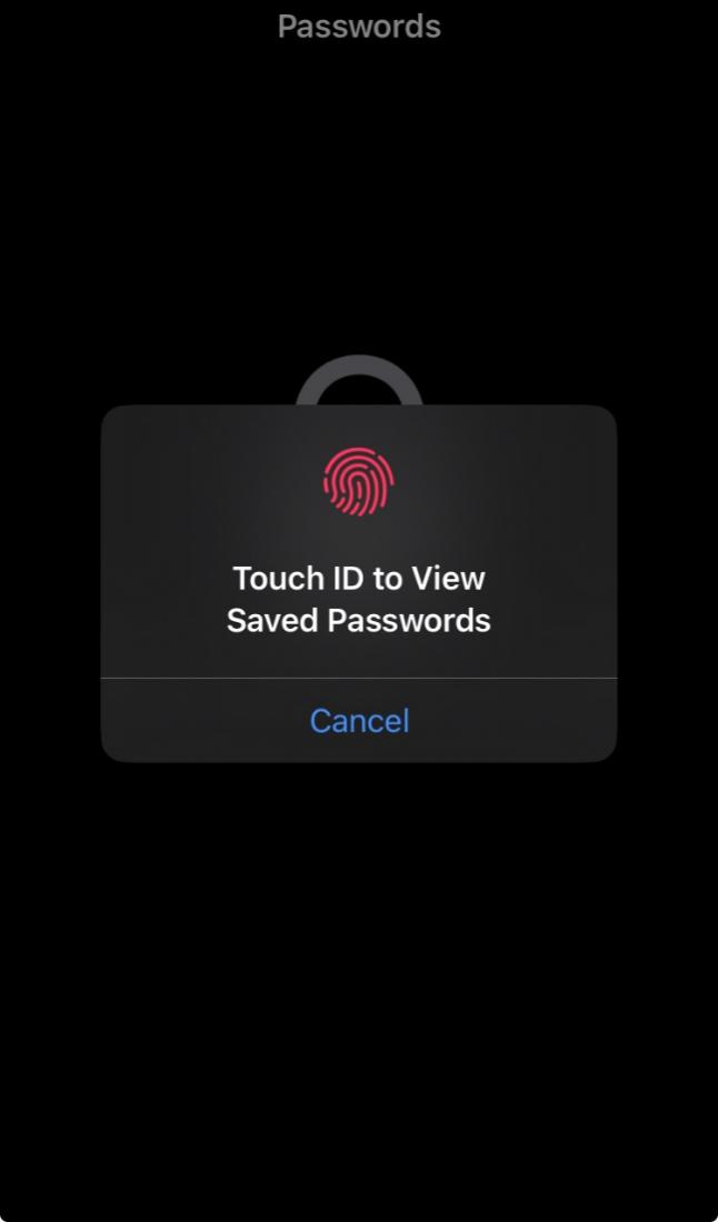 open the list of saved password