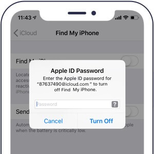 Apple ID Password