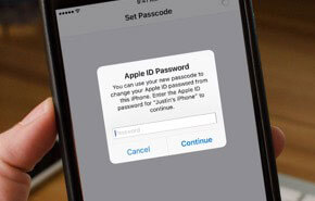 enter apple id password