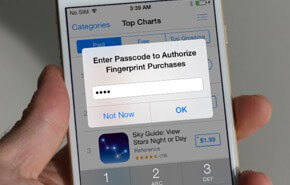 enter passcode to authorize fingerprint ourchases using passfab iphone unlocker