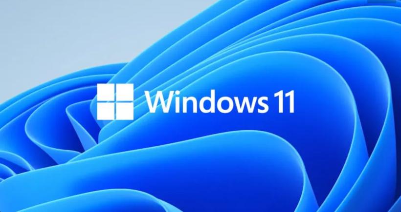 windows 11
