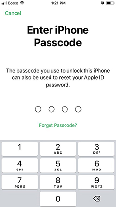 how to reset an iPhone without Apple ID-enter passcode