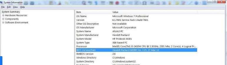 check-bios-version