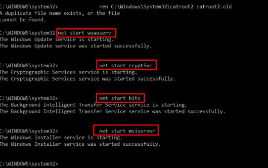 reinstall windows update