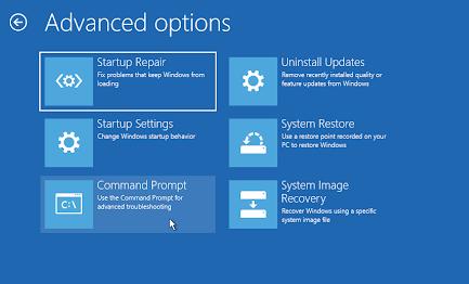 choose startup repair