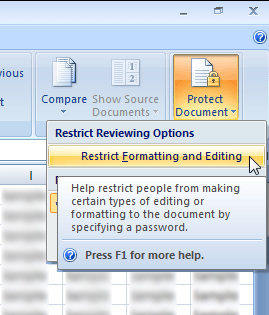 excel 2007 stop protection