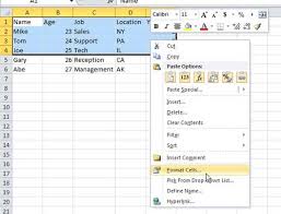 format cells excel 2010
