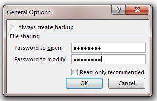 password excel