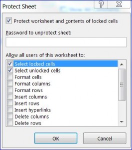protect sheet dialogue box excel 2010