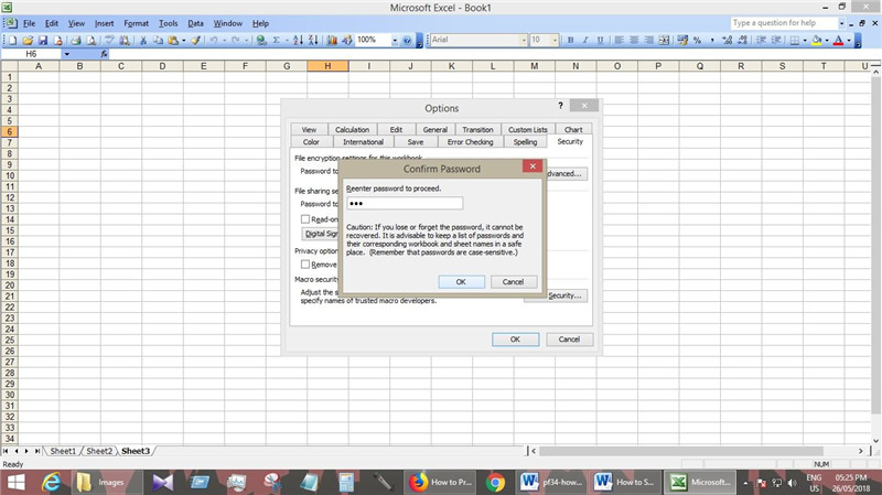set password excel 2003
