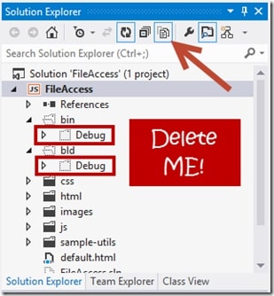 Delete Debug Folder