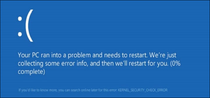 kernel security check failure
