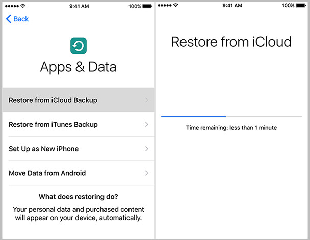 restore from icloud backup