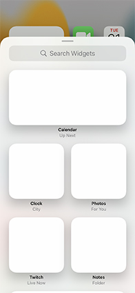 iPhone 13 issues - widgets blank