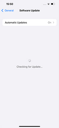 iOS update stuck -  reset network settings
