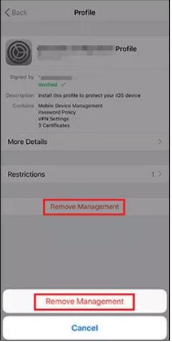 iphone mobile device management (mdm)