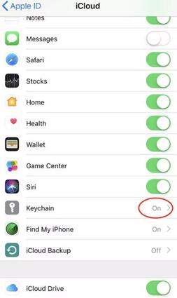 turn on keychain on iphone se