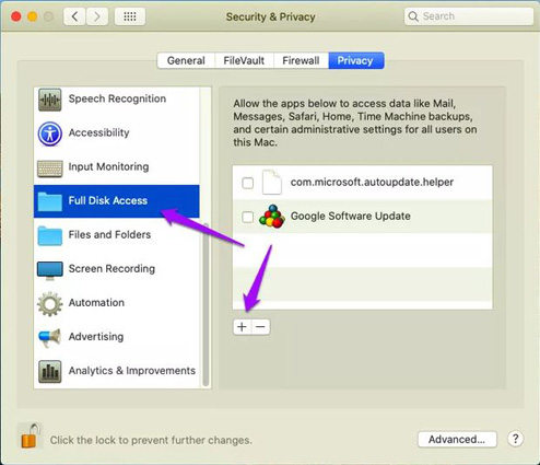 choose full disk access in privacy