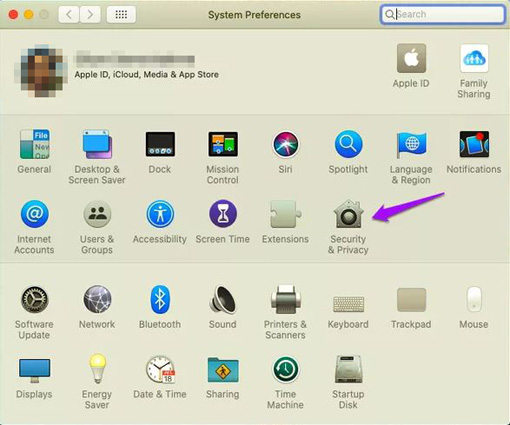 choose security and privacy in system preferences