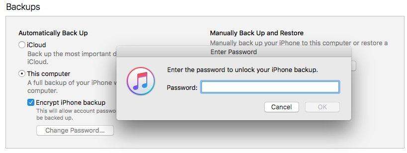 enter the password to unlock your iphone backup