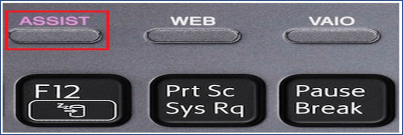 assist button