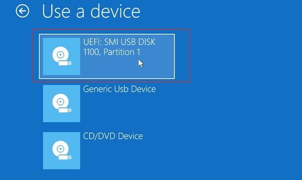 Choose the bootable USB device