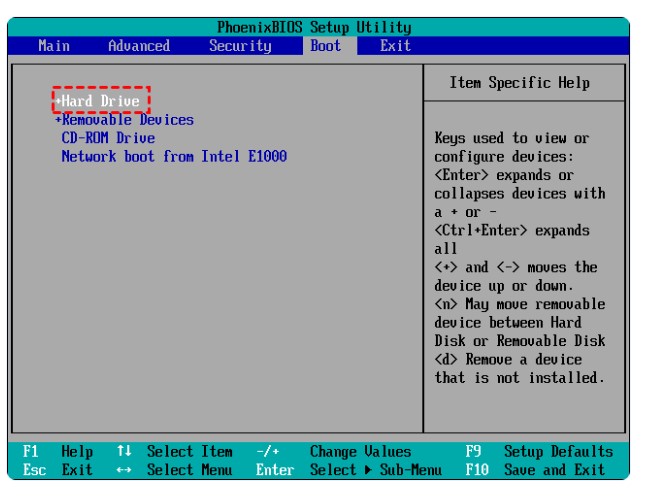 Image of the Cloned Drive the Primary Boot Option
