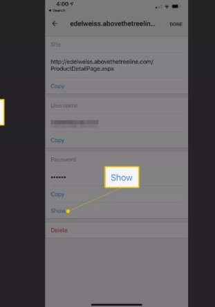 show password