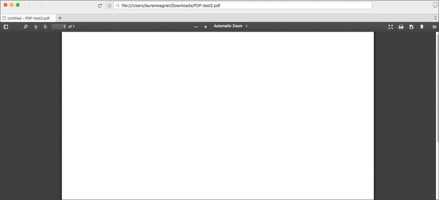 PDF Is Blank When Opened? Solved Today!