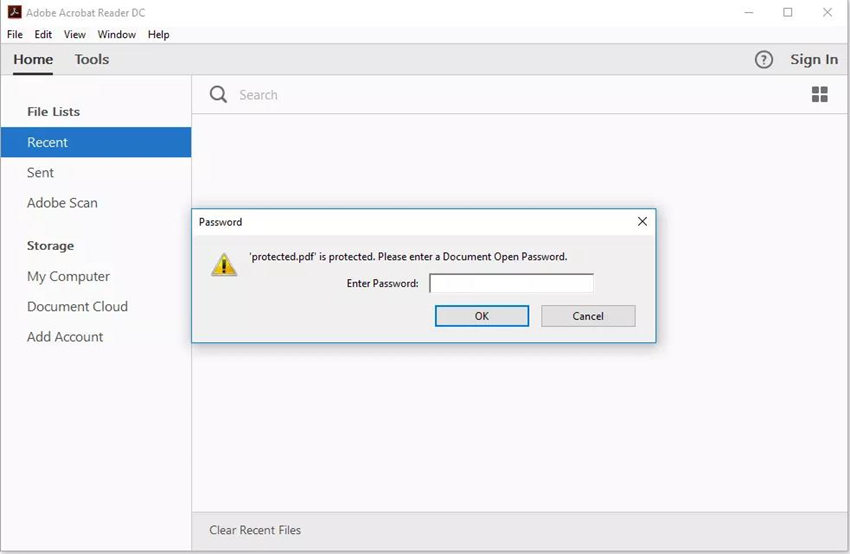 document open password