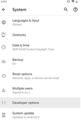 can i record streaming video – developer options