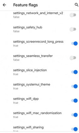 record streaming video pc – feature flags