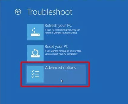 boot troubleshoot advanced options