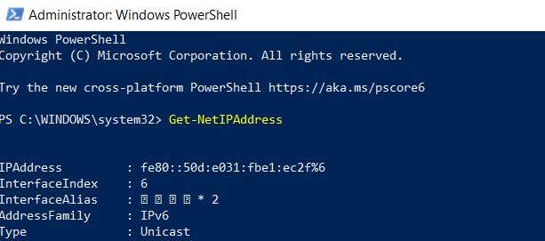 check ip address in powershell