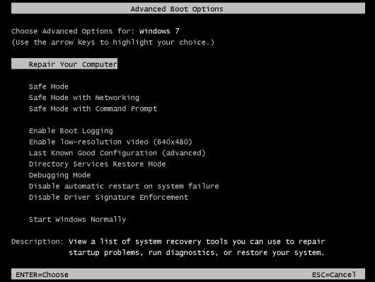advanced boot options windows