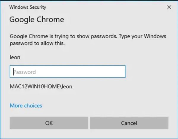 Google Chrome is Trying to Show Passwords. Type your Windows Password to allow this
