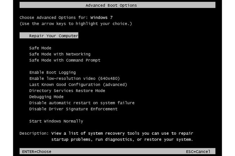 advanced boot option show
