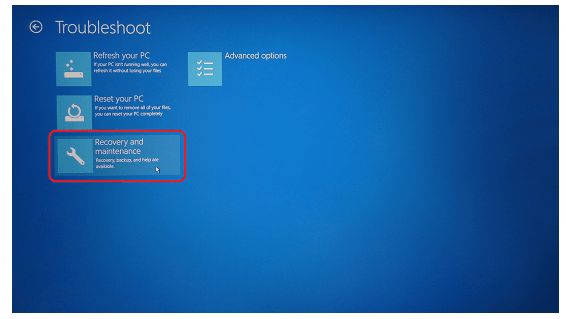 enter recovery and maintenance to format sony laptop
