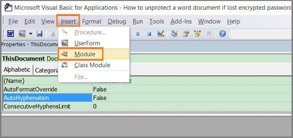vba module